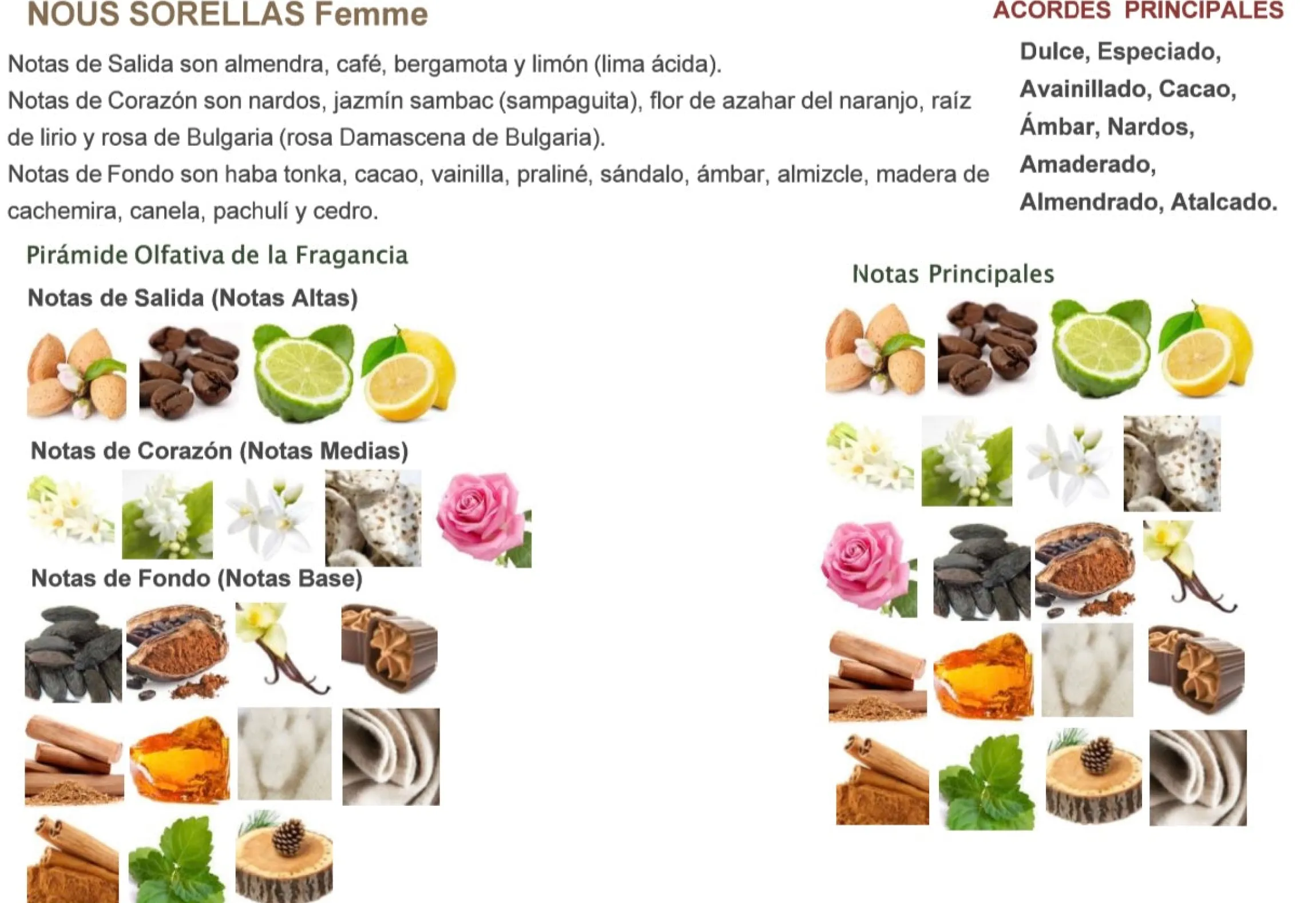 Perfume Nous Sorellas